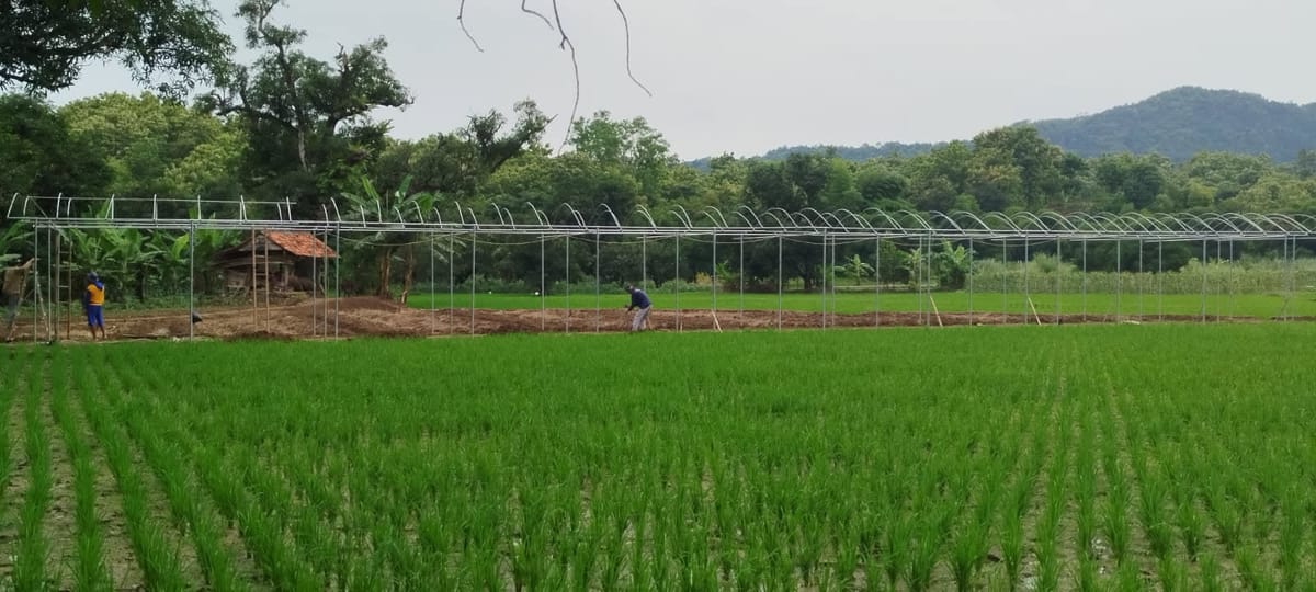 Perjalanan Kebon Cariang